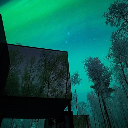 Silver Birch Resort Lapland Rovaniemi Zewnętrze zdjęcie