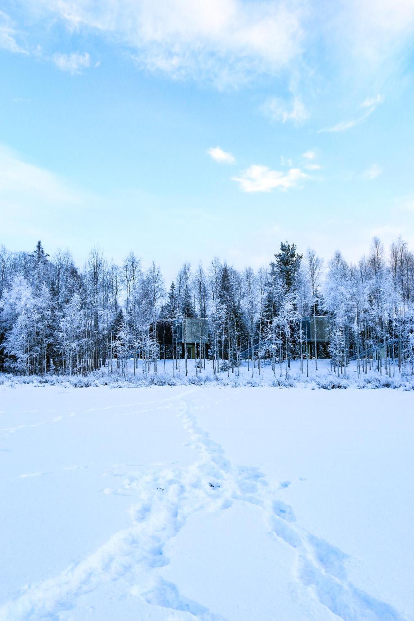 Silver Birch Resort Lapland Rovaniemi Zewnętrze zdjęcie