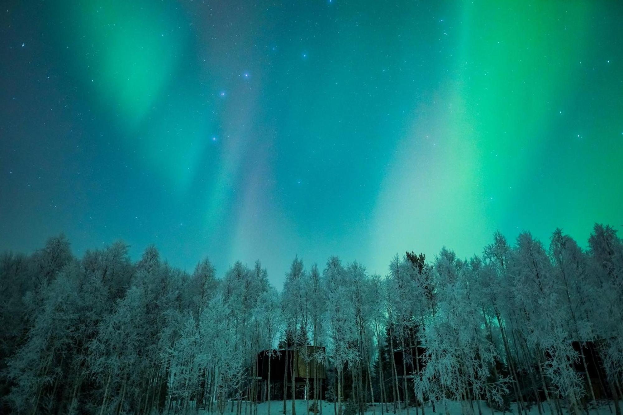 Silver Birch Resort Lapland Rovaniemi Zewnętrze zdjęcie