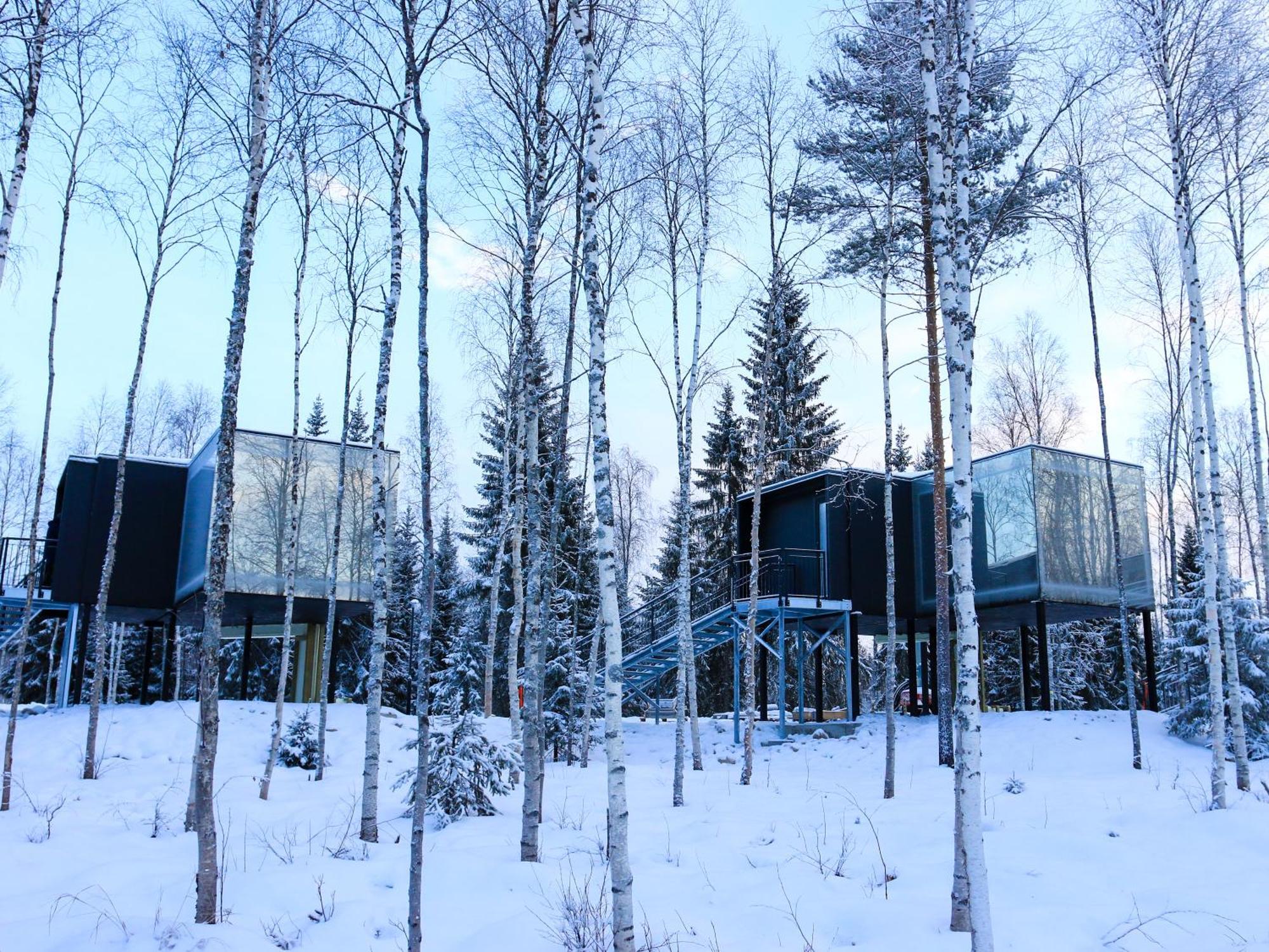 Silver Birch Resort Lapland Rovaniemi Zewnętrze zdjęcie